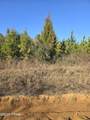 TBD Lot 1 Peanut Road - Photo 9