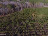 TBD Lot 2 Peanut Road - Photo 13
