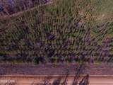 TBD Lot 2 Peanut Road - Photo 14