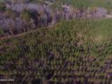 TBD Lot 2 Peanut Road - Photo 15