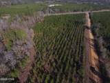 TBD Lot 2 Peanut Road - Photo 22