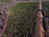 TBD Lot 3 Peanut Road - Photo 21