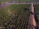 TBD Lot 4 Peanut Road - Photo 18
