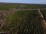 TBD Lot 4 Peanut Road - Photo 20