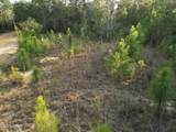 000 Creek Run Road - Photo 7