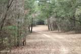 LOT 16 Bent Oaks Road - Photo 11