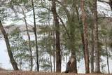 LOT 16 Bent Oaks Road - Photo 9