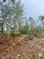 Lot 25 Aldoro Circle - Photo 17