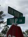0 Newmoon Drive - Photo 3