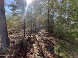 Lot 17 Shelby Court - Photo 11