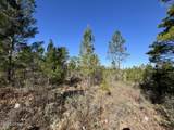 Lot 18 Carey Boulevard - Photo 4