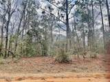 Lot 9 Red Road - Photo 3