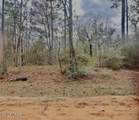 Lot 9 Red Road - Photo 5