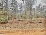 Lot 9 Red Road - Photo 6