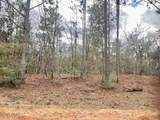 Lot 9 Red Road - Photo 7