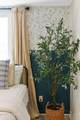 632 Mount Holyoke Street - Photo 77