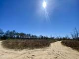 50 acres Nw Sellers Road - Photo 7