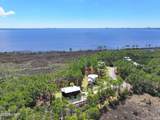7603 Coastal Hammock Trail - Photo 5