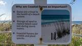 11807 Front Beach Road - Photo 31