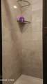 4299 Still Lane - Photo 24