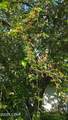 4299 Still Lane - Photo 38
