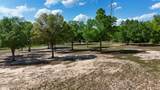 5026 Hwy 77 - Photo 22