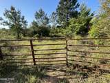 0000 Hwy 231 - Photo 19