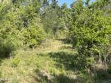 0000 Hwy 231 - Photo 21