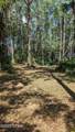 0000 Moss Hill Road - Photo 3
