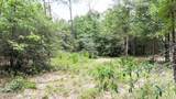 20429 Fettinger Road - Photo 4