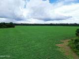 0 Juniper Creek Road - Photo 7