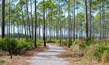 7644 Coastal Hammock Trail - Photo 10