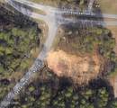 7644 Coastal Hammock Trail - Photo 14