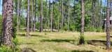 7644 Coastal Hammock Trail - Photo 6