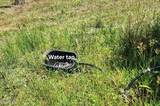 7644 Coastal Hammock Trail - Photo 9