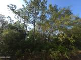00 Payne Lake Road Road - Photo 11