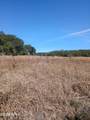 TBD Wolf Pond Road - Photo 5