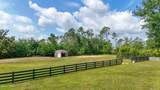 8033 Marcia Road - Photo 48