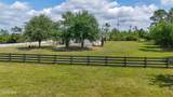 8033 Marcia Road - Photo 49