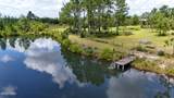 24197 Pine Tree Trail - Photo 10