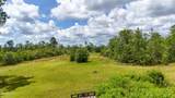 24197 Pine Tree Trail - Photo 11
