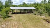 24197 Pine Tree Trail - Photo 14