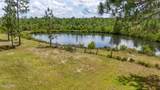 24197 Pine Tree Trail - Photo 15