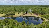 24197 Pine Tree Trail - Photo 9