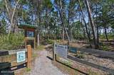 40 Flounder Street - Photo 62