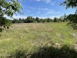 0000 Blue Springs Road - Photo 10