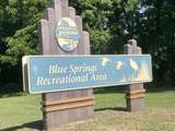 0000 Blue Springs Road - Photo 12