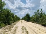 701 State Road 20 W - Photo 81