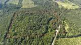 37+Acres Ten Mile Rd - Photo 1