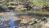 37+Acres Ten Mile Rd - Photo 2